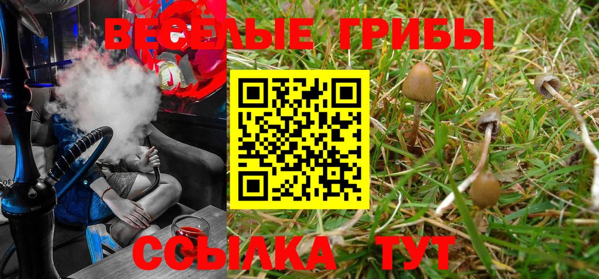 Псилоцибиновые грибы мухоморы  Вход с VPN  Галлюциногенные грибы MAGIC MUSHROOMS  Луховицы 