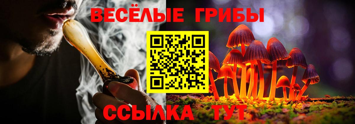 Псилоцибиновые грибы мицелий Луховицы