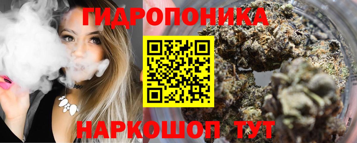 Канабис OG Kush Луховицы